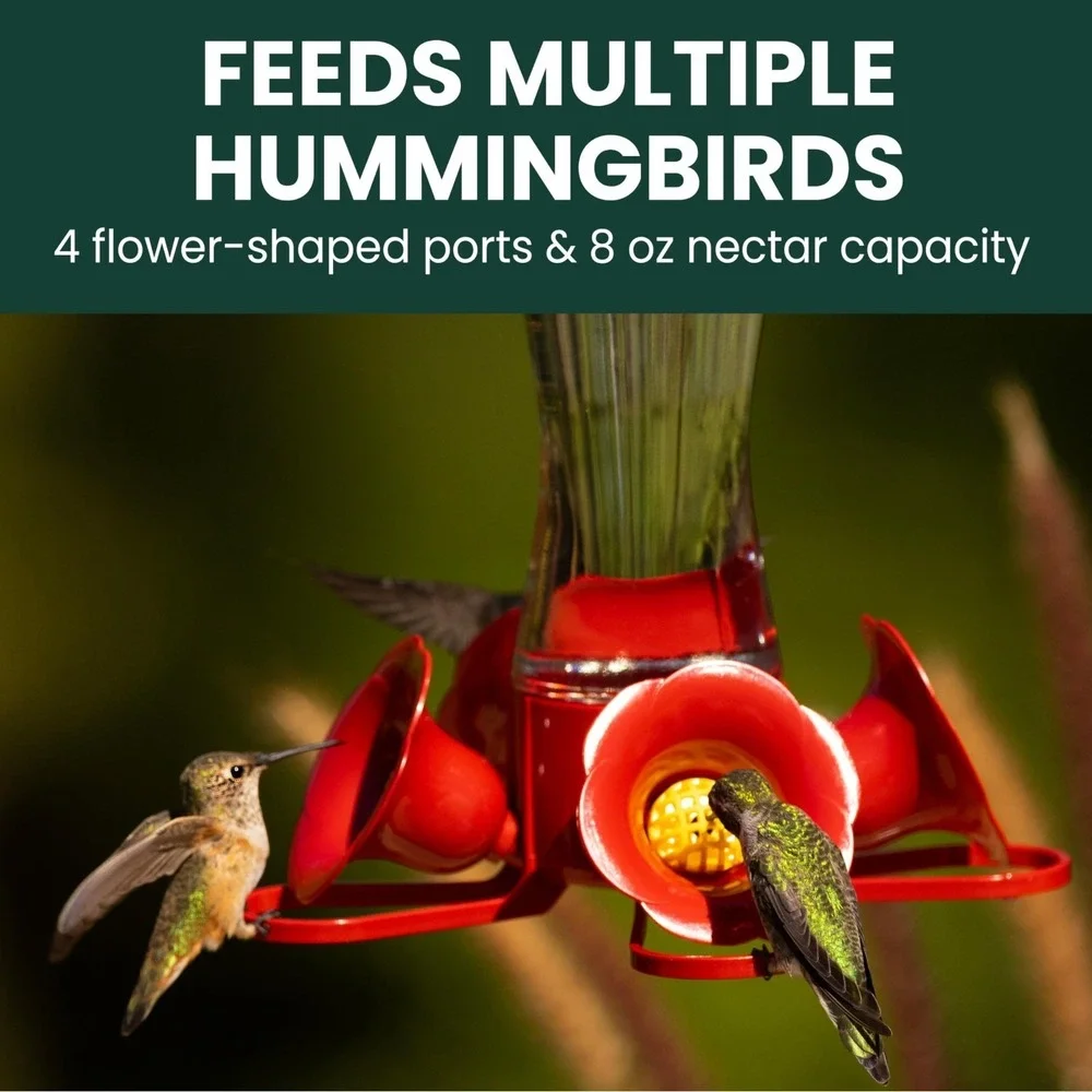 Perky-Pet 203CPBN Hummingbird Feeder